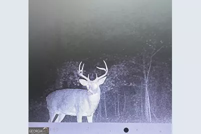 1141 Windsweep Farm Road, Thomaston, GA 30286 - Photo 55