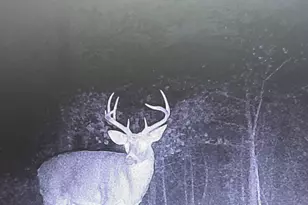 1141 Windsweep Farm Rd, Thomaston, GA 30286 - Photo 55