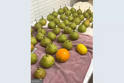 1141 Windsweep Farm Road, Thomaston, GA 30286 - Photo 59