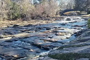 160 Rivers Edge Dr, Forsyth, GA 31029 - Photo 9