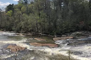 160 Rivers Edge Dr, Forsyth, GA 31029 - Photo 7