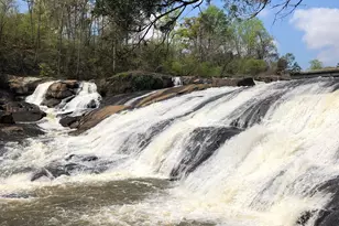 160 Rivers Edge Dr, Forsyth, GA 31029 - Photo 5