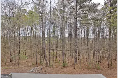 155 Mulberry Court, Peachtree City, GA 30269 - Photo 51