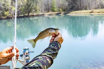 1053 Ga Highway 26 W, Cochran, GA 31014 - Photo 79