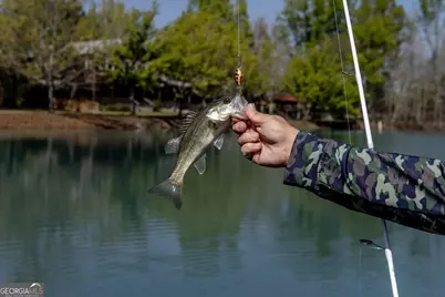 1053 Ga Highway 26 W, Cochran, GA 31014 - Photo 81