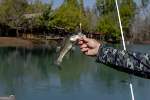 1053 Ga Hwy 26 W, Cochran, GA 31014 - Photo 81