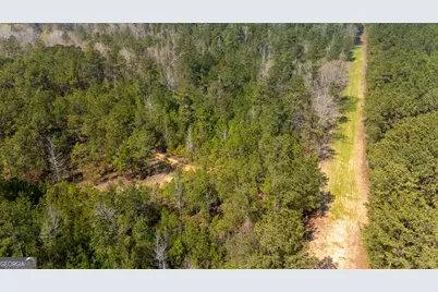 0 Lower Big Springs Road, Lagrange, GA 30241 - Photo 15