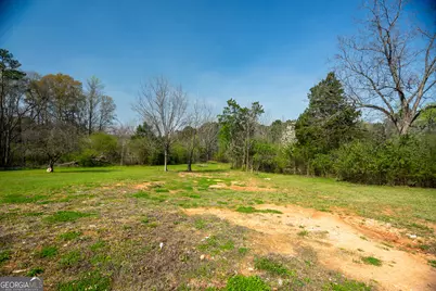 0 Lower Big Springs Road, Lagrange, GA 30241 - Photo 29