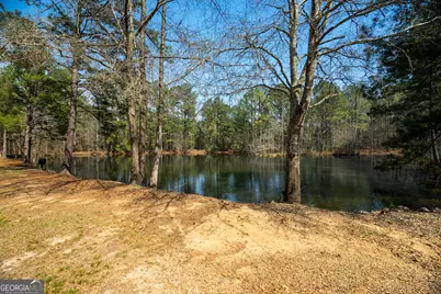 0 Lower Big Springs Road, Lagrange, GA 30241 - Photo 23
