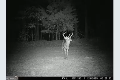 0 Lower Big Springs Road, Lagrange, GA 30241 - Photo 31