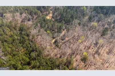 0 Lower Big Springs Road, Lagrange, GA 30241 - Photo 3