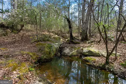 0 Lower Big Springs Road, Lagrange, GA 30241 - Photo 41