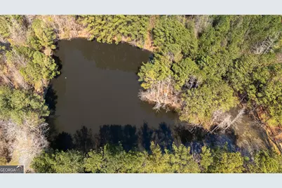 0 Lower Big Springs Road, Lagrange, GA 30241 - Photo 7