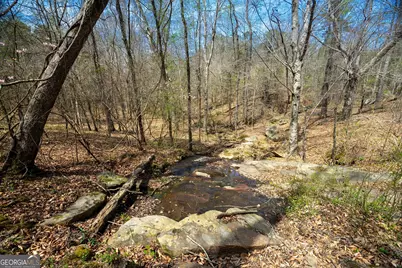 0 Lower Big Springs Road, Lagrange, GA 30241 - Photo 43