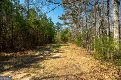 0 Lower Big Springs Road, Lagrange, GA 30241 - Photo 25