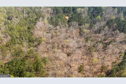 0 Lower Big Springs Road, Lagrange, GA 30241 - Photo 5