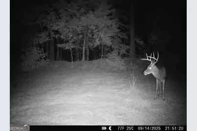 0 Lower Big Springs Road, Lagrange, GA 30241 - Photo 33