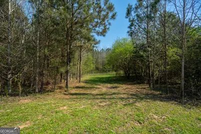 0 Lower Big Springs Road, Lagrange, GA 30241 - Photo 27