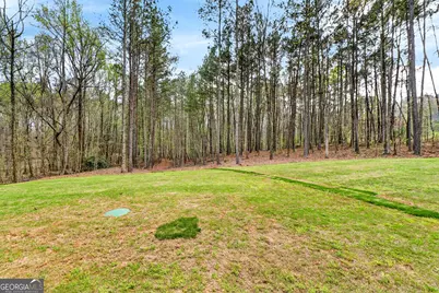 150 Wilson Drive, McDonough, GA 30252 - Photo 45