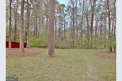 321 Walnut Grove Road, Peachtree City, GA 30269 - Photo 73