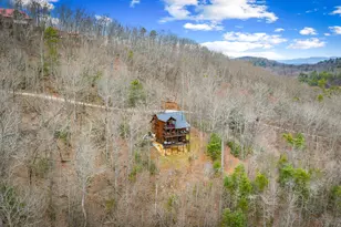 161 Cub Trail, Cherrylog, GA 30522 - Photo 11