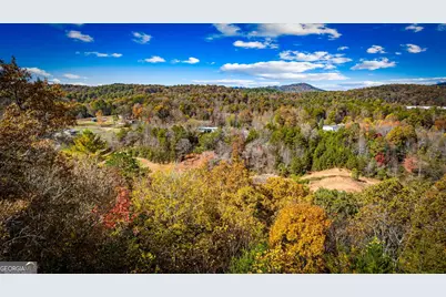 2650 Cutcane Road, Mineral Bluff, GA 30559 - Photo 99