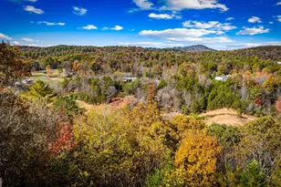 2650 Cutcane Rd, Mineral Bluff, GA 30559 - Photo 99