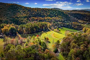 2650 Cutcane Rd, Mineral Bluff, GA 30559 - Photo 87