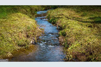 2650 Cutcane Road, Mineral Bluff, GA 30559 - Photo 95