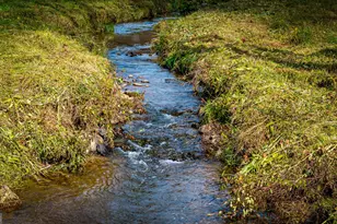 2650 Cutcane Rd, Mineral Bluff, GA 30559 - Photo 95