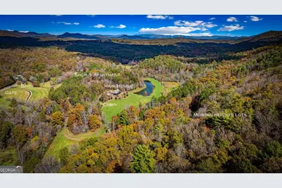 2650 Cutcane Road, Mineral Bluff, GA 30559 - Photo 11