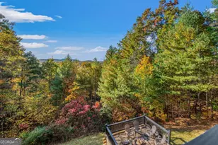 222 Brooks Ridge Rd, Mineral Bluff, GA 30559 - Photo 43