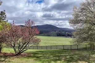 205 Oak Ridge Rd, Morganton, GA 30560 - Photo 9