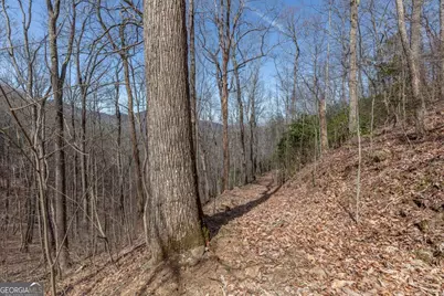 13.99 Ac Caesar Gap Road, Hiawassee, GA 30546 - Photo 17