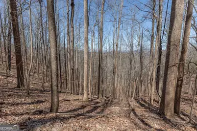 13.99 Ac Caesar Gap Road, Hiawassee, GA 30546 - Photo 21