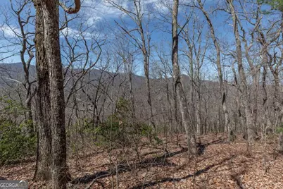 13.99 Ac Caesar Gap Road, Hiawassee, GA 30546 - Photo 27