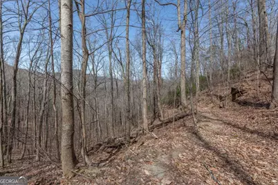 13.99 Ac Caesar Gap Road, Hiawassee, GA 30546 - Photo 15