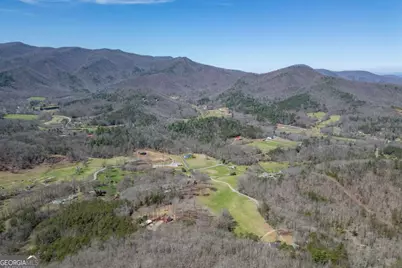 13.99 Ac Caesar Gap Road, Hiawassee, GA 30546 - Photo 3