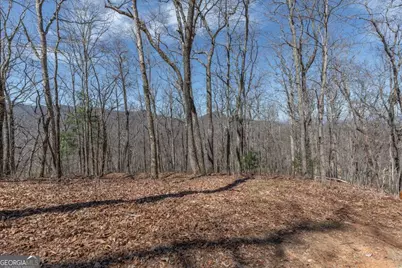 13.99 Ac Caesar Gap Road, Hiawassee, GA 30546 - Photo 29