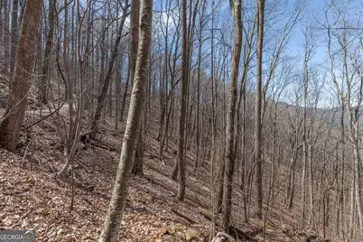 13.99 Ac Caesar Gap Road, Hiawassee, GA 30546 - Photo 19