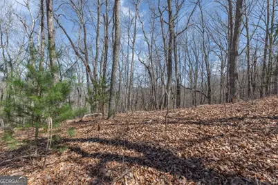13.99 Ac Caesar Gap Road, Hiawassee, GA 30546 - Photo 25