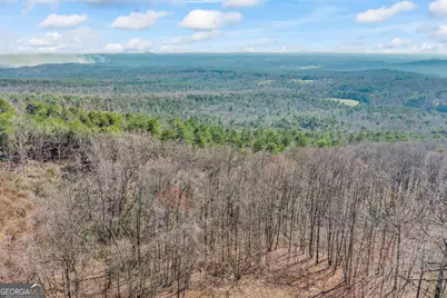 929 Hickory Nut Mountain Road, Clarkesville, GA 30523 - Photo 59