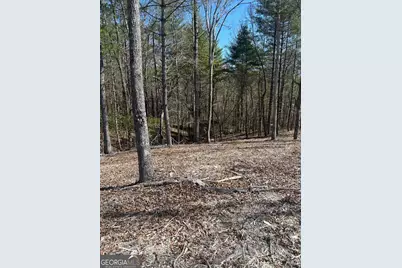 Lot 188 The Ridges, Morganton, GA 30560 - Photo 3