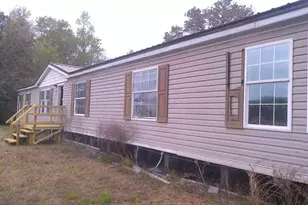 68 Pine Tar Ln NE, Ludowici, GA 31316 - Photo 1