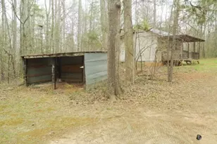 172 Mutts Dr, Mount Airy, GA 30563 - Photo 5