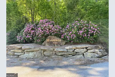 0 Yellow Trillium (Lot 13), Clayton, GA 30525 - Photo 1