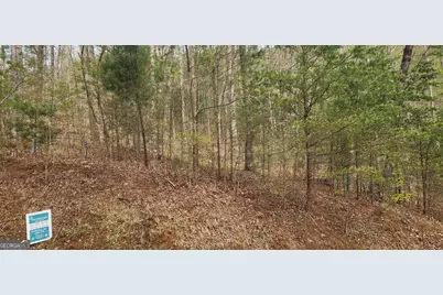 0 (Lot 13) Yellow Trillium, Clayton, GA 30525 - Photo 3