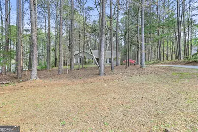 65 Posey Woods Drive, Newnan, GA 30265 - Photo 35
