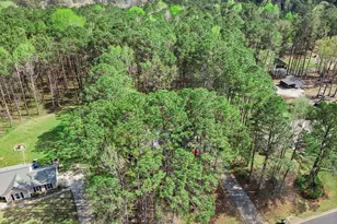 65 Posey Woods Dr, Newnan, GA 30265 - Photo 37