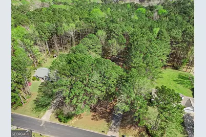 65 Posey Woods Drive, Newnan, GA 30265 - Photo 39